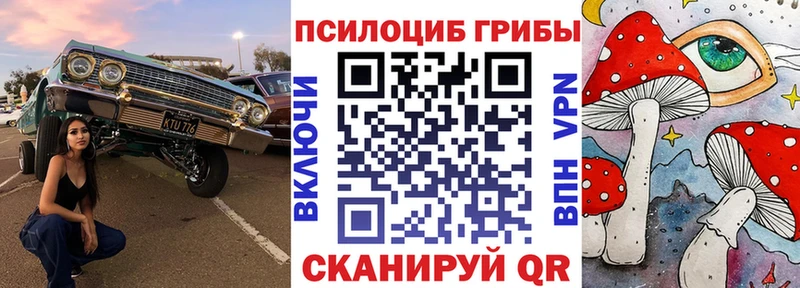 Галлюциногенные грибы мицелий  Макаров 